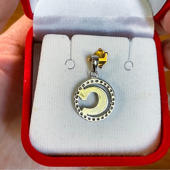 “C” Sterling Silver Necklace Pendant - Picture 9 of 11
